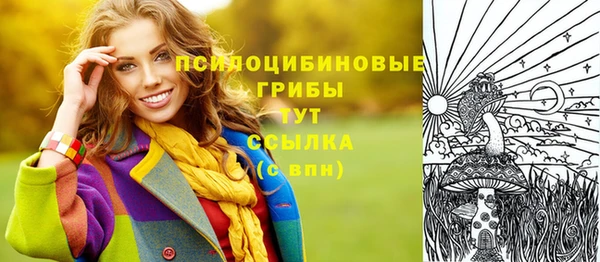 герыч Верхний Тагил