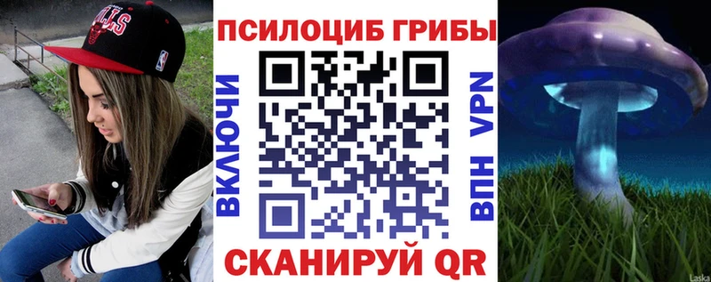 Галлюциногенные грибы Cubensis  Купить  Сосенский 