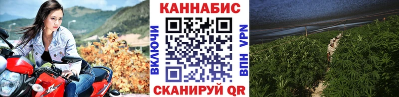 Марихуана OG Kush  Купить закладки  Сосенский 